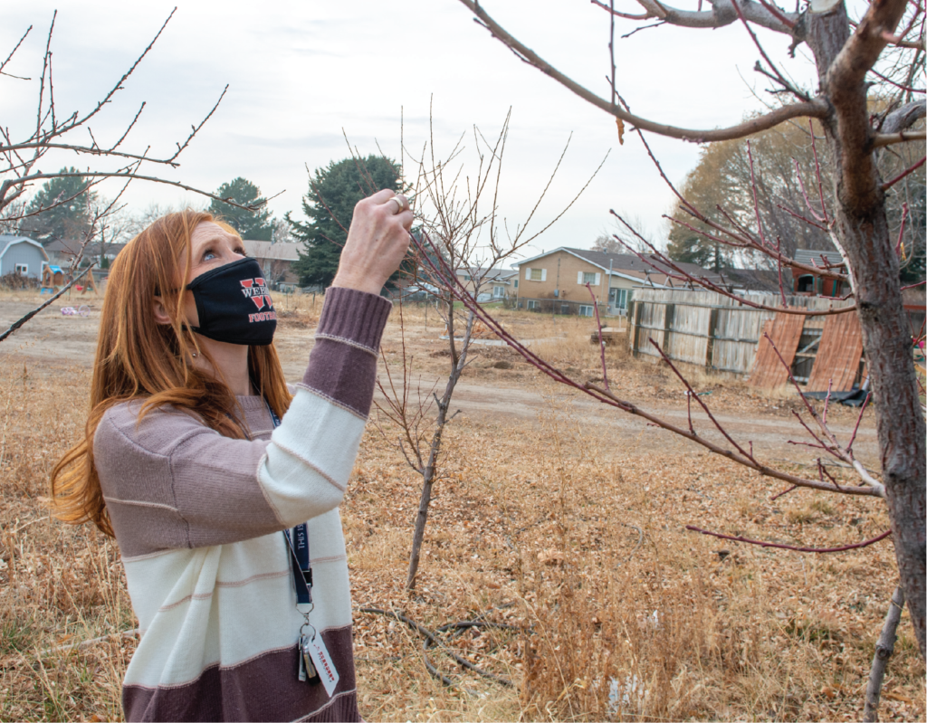 The “major’s mini-farm,” as the family calls it, was his love. However his day had gone at City Hall, Brent Taylor liked to come home and dive into farm work with his kids, his widow said. She calls the place a metaphor for the family’s life without him. Thursday began a transformation as donors, led by one of the region’s largest landscaping firms, Stratton & Brätt Landscapes, launched a three-day overhaul of the farm to bring it back to working life and make it easier to maintain.